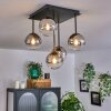 Chehalis Plafondlamp - Glas Duidelijk, Rookkleurig, 5-lichts