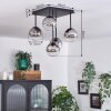 Chehalis Plafondlamp - Glas Duidelijk, Rookkleurig, 5-lichts