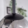 Chehalis Plafondlamp - Glas Duidelijk, Rookkleurig, 5-lichts