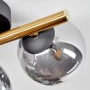 Chehalis Plafondlamp - Glas Goud, Zwart, 3-lichts