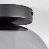 Apedo Plafondlamp - Glas Duidelijk, Rookkleurig, 1-licht