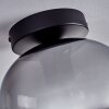 Apedo Plafondlamp - Glas Duidelijk, Rookkleurig, 1-licht