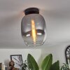 Apedo Plafondlamp - Glas Duidelijk, Rookkleurig, 1-licht
