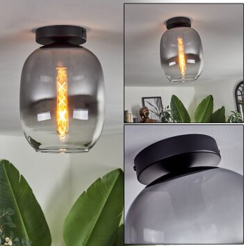 Apedo Plafondlamp - Glas Duidelijk, Rookkleurig, 1-licht