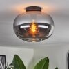 Apedo Plafondlamp - Glas Rookkleurig, 1-licht