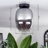 Apedo Plafondlamp - Glas Rookkleurig, 1-licht