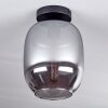 Apedo Plafondlamp - Glas Rookkleurig, 1-licht