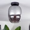 Apedo Plafondlamp - Glas Rookkleurig, 1-licht
