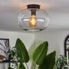 Apedo Plafondlamp - Glas Duidelijk, 1-licht, Afstandsbediening