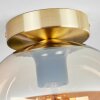 Apedo Plafondlamp - Glas Messing, 1-licht
