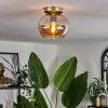 Apedo Plafondlamp - Glas Messing, 1-licht