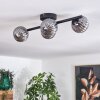 Chehalis Plafondlamp - Glas Rookkleurig, 4-lichts