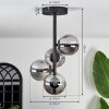 Chehalis Plafondlamp - Glas Rookkleurig, 4-lichts