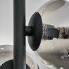 Chehalis Plafondlamp - Glas Rookkleurig, 4-lichts