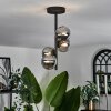 Chehalis Plafondlamp - Glas Rookkleurig, 4-lichts