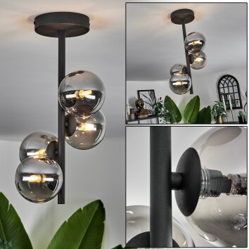 Chehalis Plafondlamp - Glas Rookkleurig, 4-lichts
