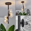 Chehalis Plafondlamp - Glas Duidelijk, 4-lichts