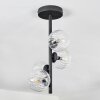 Chehalis Plafondlamp - Glas Duidelijk, 4-lichts