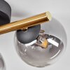 Chehalis Plafondlamp - Glas Goud, Zwart, 3-lichts