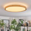 Sofo Plafondlamp LED Wit, 1-licht, Afstandsbediening