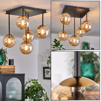 Chehalis Plafondlamp - Glas Goud, Zwart, 5-lichts