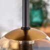 Chehalis Plafondlamp - Glas Goud, Zwart, 5-lichts