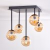 Chehalis Plafondlamp - Glas Goud, Zwart, 5-lichts