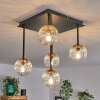 Chehalis Plafondlamp - Glas Goud, Zwart, 5-lichts