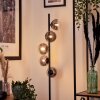Remaisnil Staande lamp - Glas Duidelijk, Rookkleurig, 5-lichts