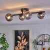 Chehalis Plafondlamp - Glas Duidelijk, Rookkleurig, 4-lichts