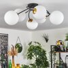 Chehalis Plafondlamp - Glas Goud, Zwart, 6-lichts