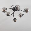Chehalis Plafondlamp - Glas Rookkleurig, 6-lichts