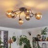 Chehalis Plafondlamp - Glas Amber, Rookkleurig, 6-lichts