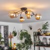Chehalis Plafondlamp - Glas Amber, 6-lichts