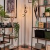 Remaisnil Staande lamp - Glas Rookkleurig, 3-lichts