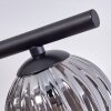 Chehalis Plafondlamp - Glas Rookkleurig, 5-lichts