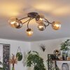 Chehalis Plafondlamp - Glas Amber, Rookkleurig, 6-lichts
