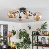Chehalis Plafondlamp - Glas Amber, 6-lichts