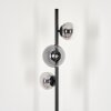 Remaisnil Staande lamp - Glas Duidelijk, Rookkleurig, 3-lichts