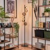 Remaisnil Staande lamp - Glas Rookkleurig, 6-lichts