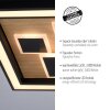 Paul-Neuhaus ELIZA Plafondlamp LED Natuurlijke kleuren, Zwart, 1-licht