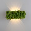 Leuchten-Direkt GREEN CARLO Muurlamp LED Zilver, 6-lichts