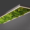 Leuchten-Direkt GREEN KNUT Plafondlamp LED Zilver, 1-licht