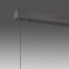 Paul-Neuhaus NANIA Hanglamp LED Grijs, 1-licht