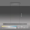 Paul-Neuhaus NANIA Hanglamp LED Grijs, 1-licht