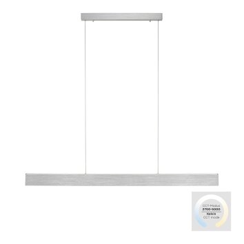 Paul-Neuhaus NANIA Hanglamp LED Zilver, 1-licht