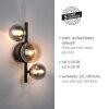 Paul-Neuhaus POPSICLE Muurlamp LED Zwart, 3-lichts