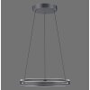 Paul-Neuhaus PURE E-LOOP Hanglamp LED Grijs, 2-lichts, Afstandsbediening