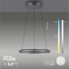 Paul-Neuhaus PURE E-LOOP Hanglamp LED Grijs, 2-lichts, Afstandsbediening