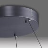 Paul-Neuhaus PURE E-LOOP Hanglamp LED Grijs, 2-lichts, Afstandsbediening